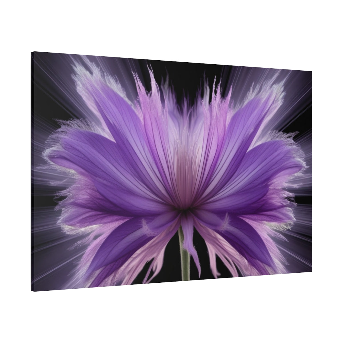 Radiant Blossom Exploding