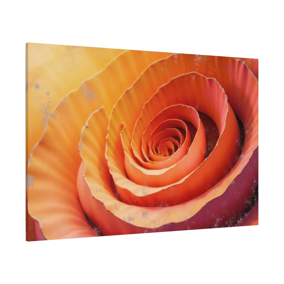 Petals in a Spiral Dance