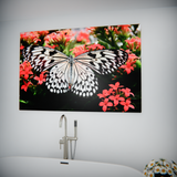 Butterfly Elegance on Scarlet Blooms