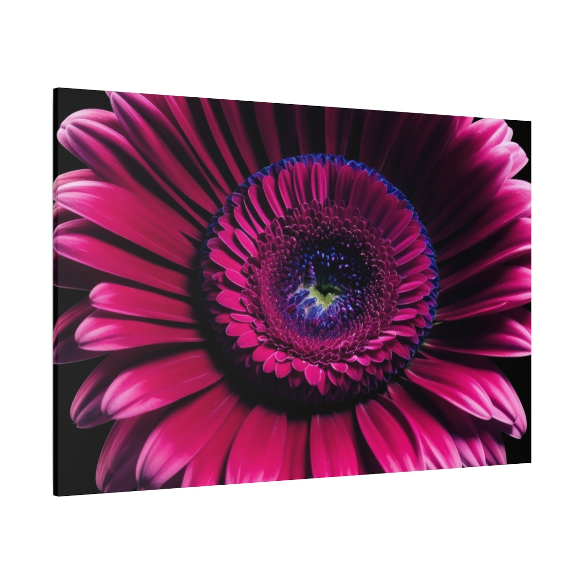 Vivid Fuchsia Bloom