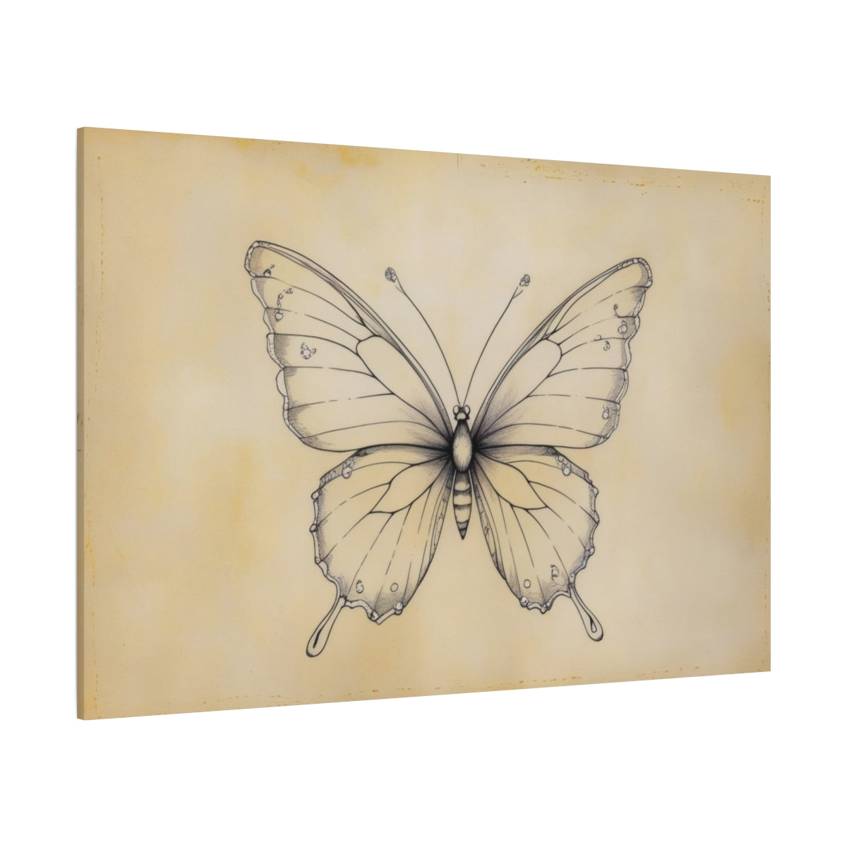 Vintage Butterfly Sketch