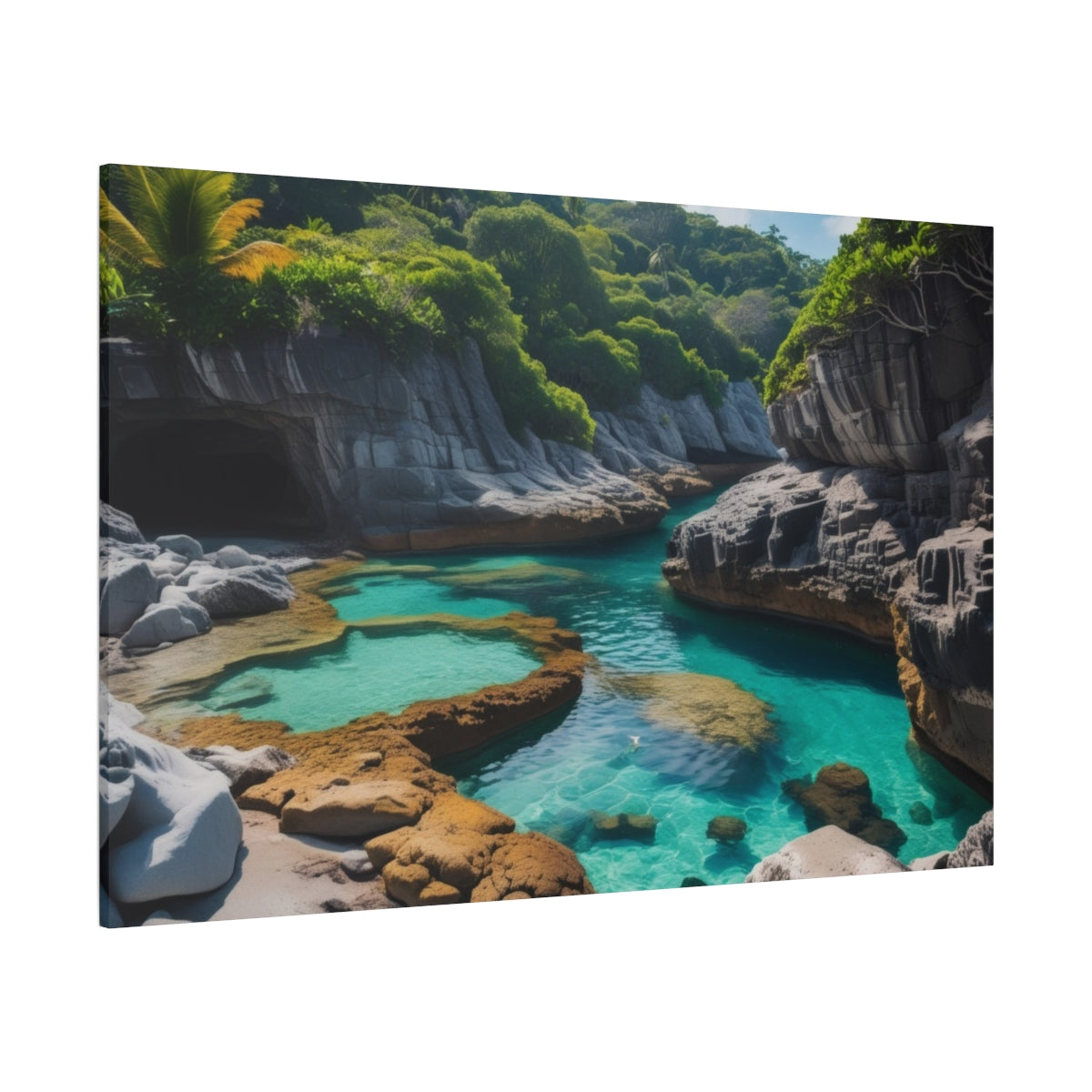 Tranquil Cove Oasis