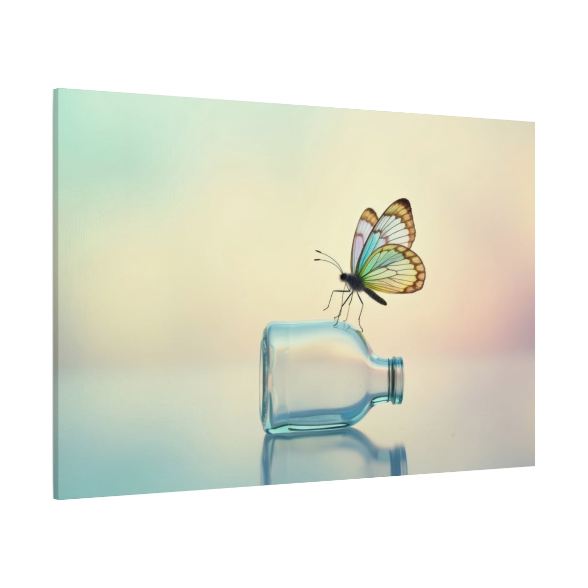 Whimsical Butterfly's Rest