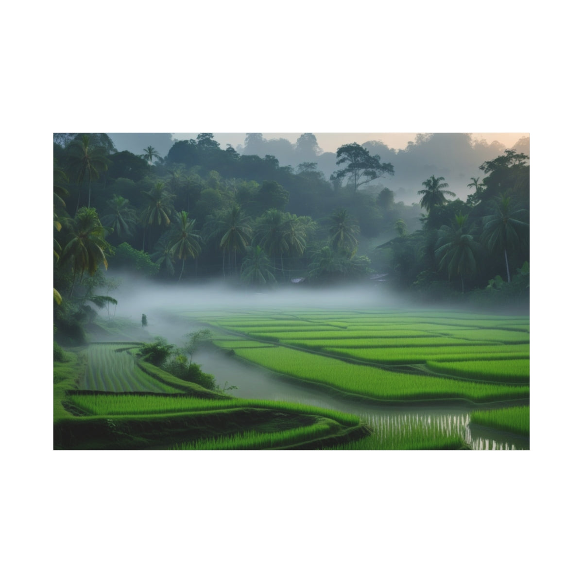 Whispers of the Rice Fields
