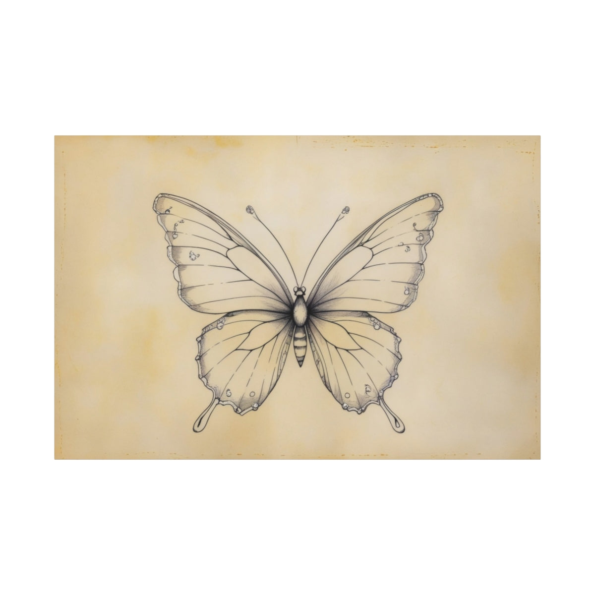 Vintage Butterfly Sketch