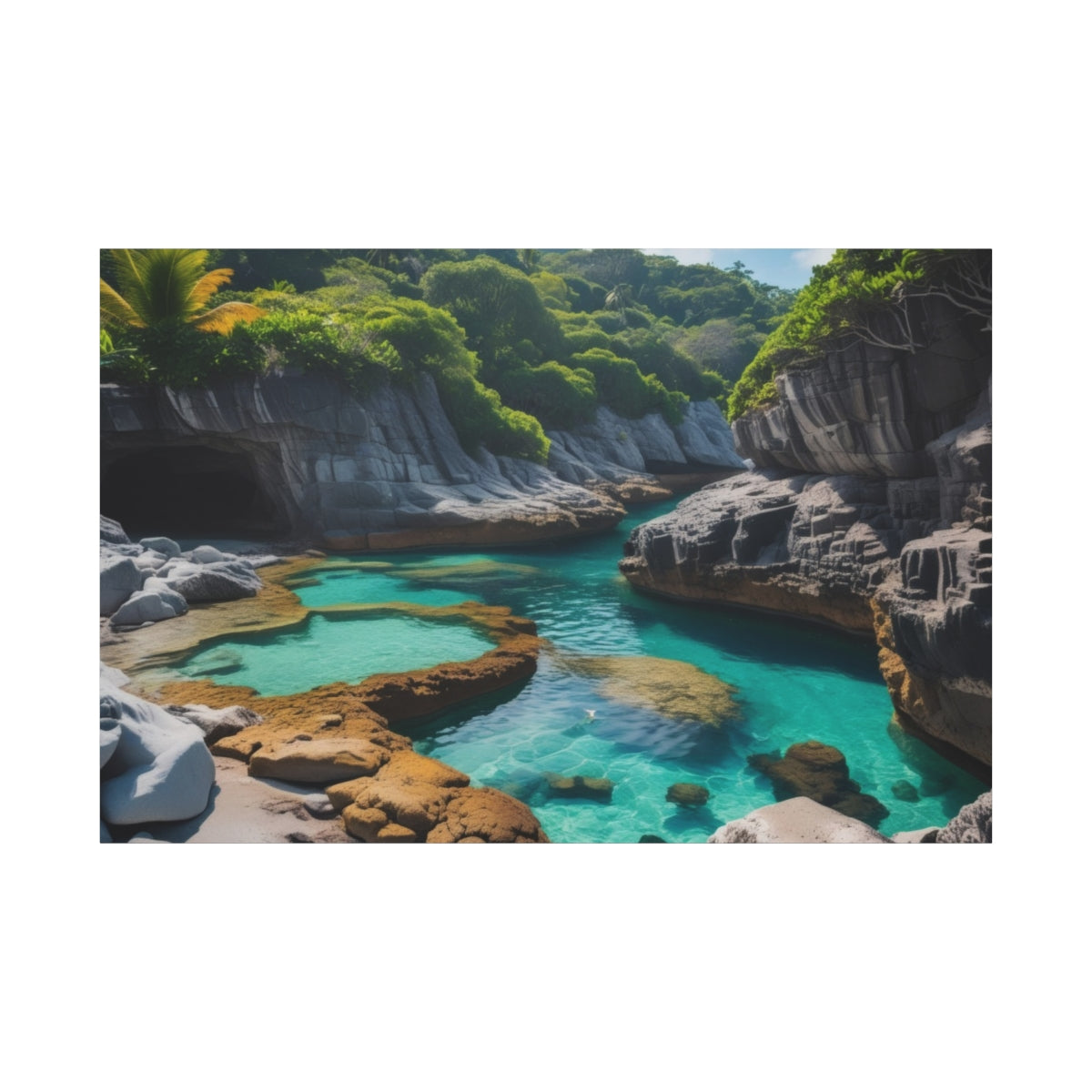 Tranquil Cove Oasis