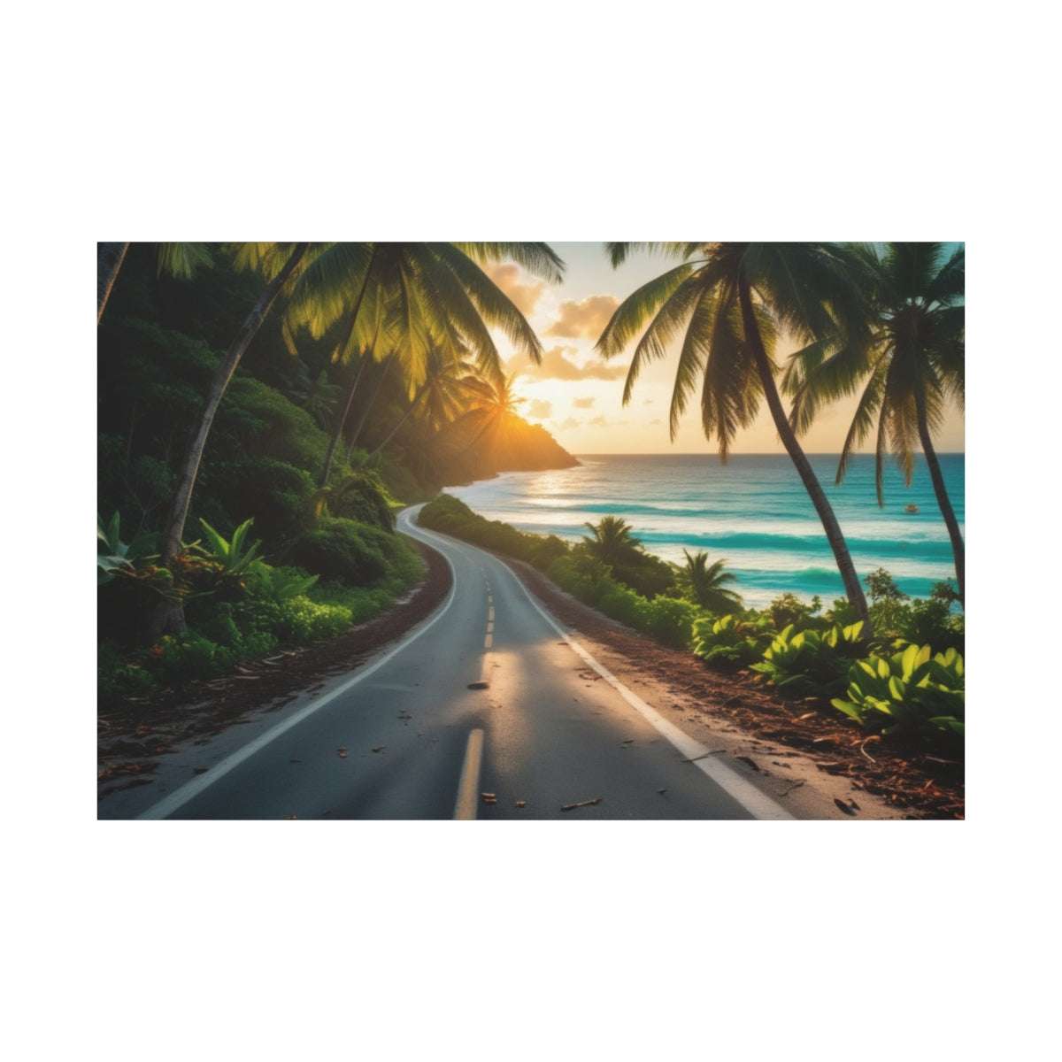 Sunlit Coastal Drive