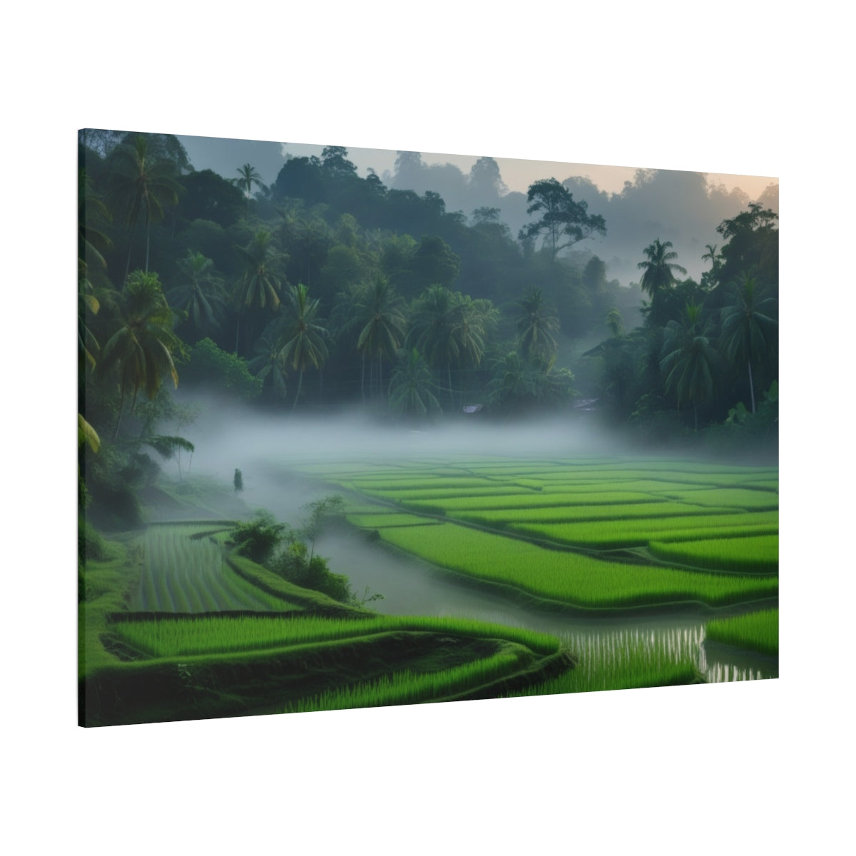 Whispers of the Rice Fields