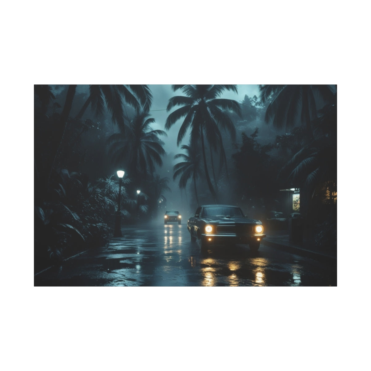 Tropical Midnight Drive
