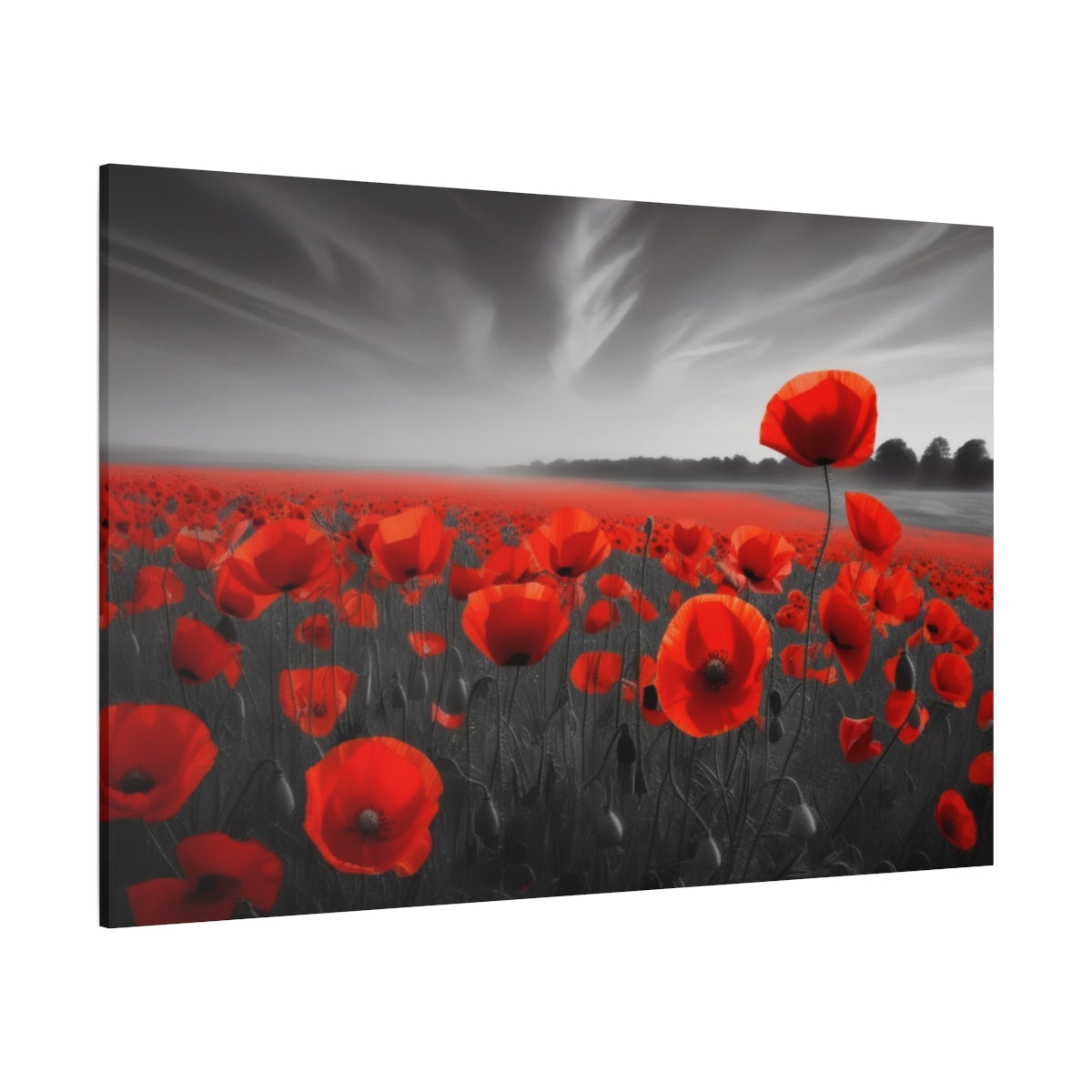 Poppies in Monochrome Dreamscape