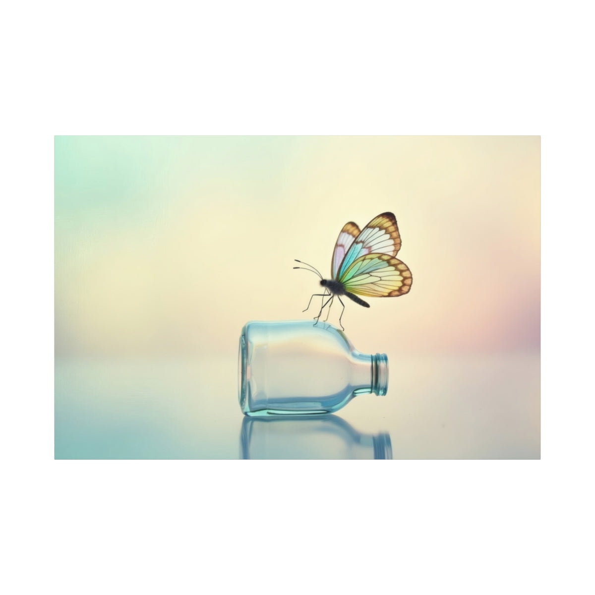Whimsical Butterfly's Rest