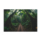 Enchanted Jungle Pathway