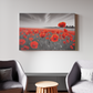 Poppies in Monochrome Dreamscape
