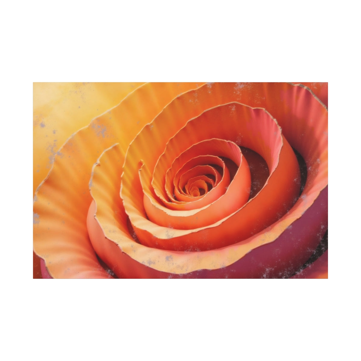 Petals in a Spiral Dance