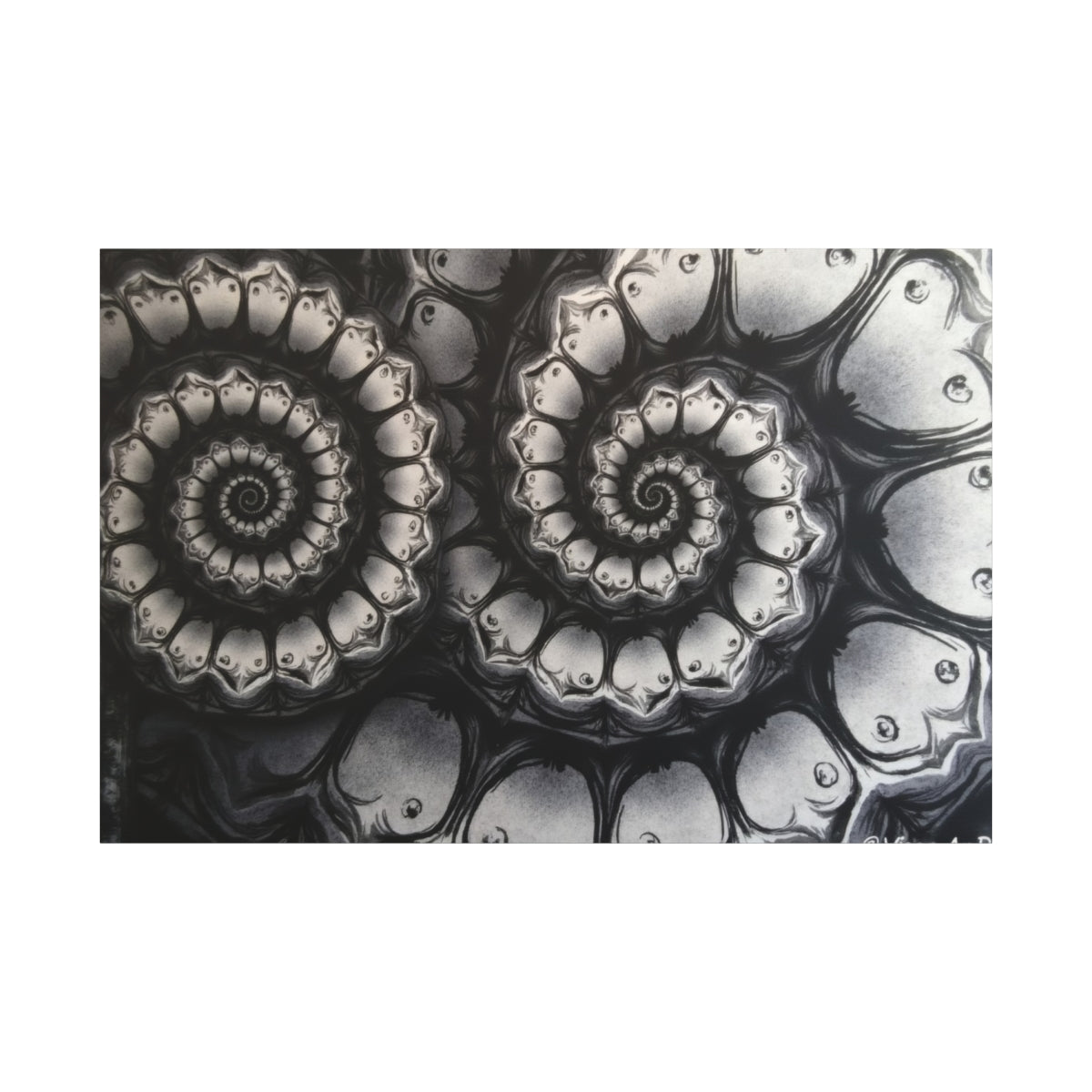 Mystic Spirals in Monochrome