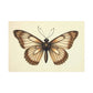 The Monarch's Grace