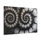 Mystic Spirals in Monochrome
