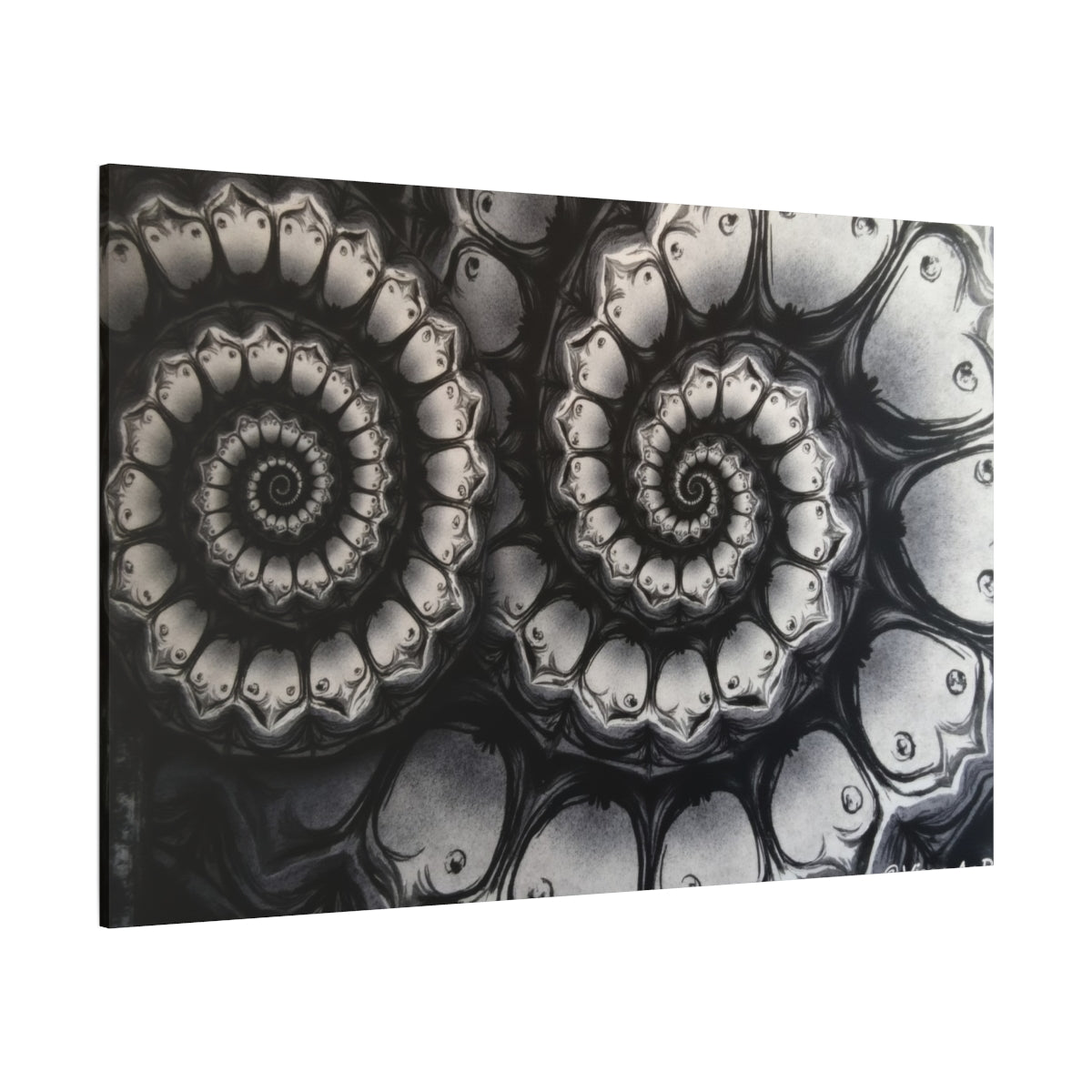 Mystic Spirals in Monochrome