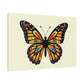 Vibrant Wings Against Light