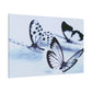 Monochrome Butterfly Dance