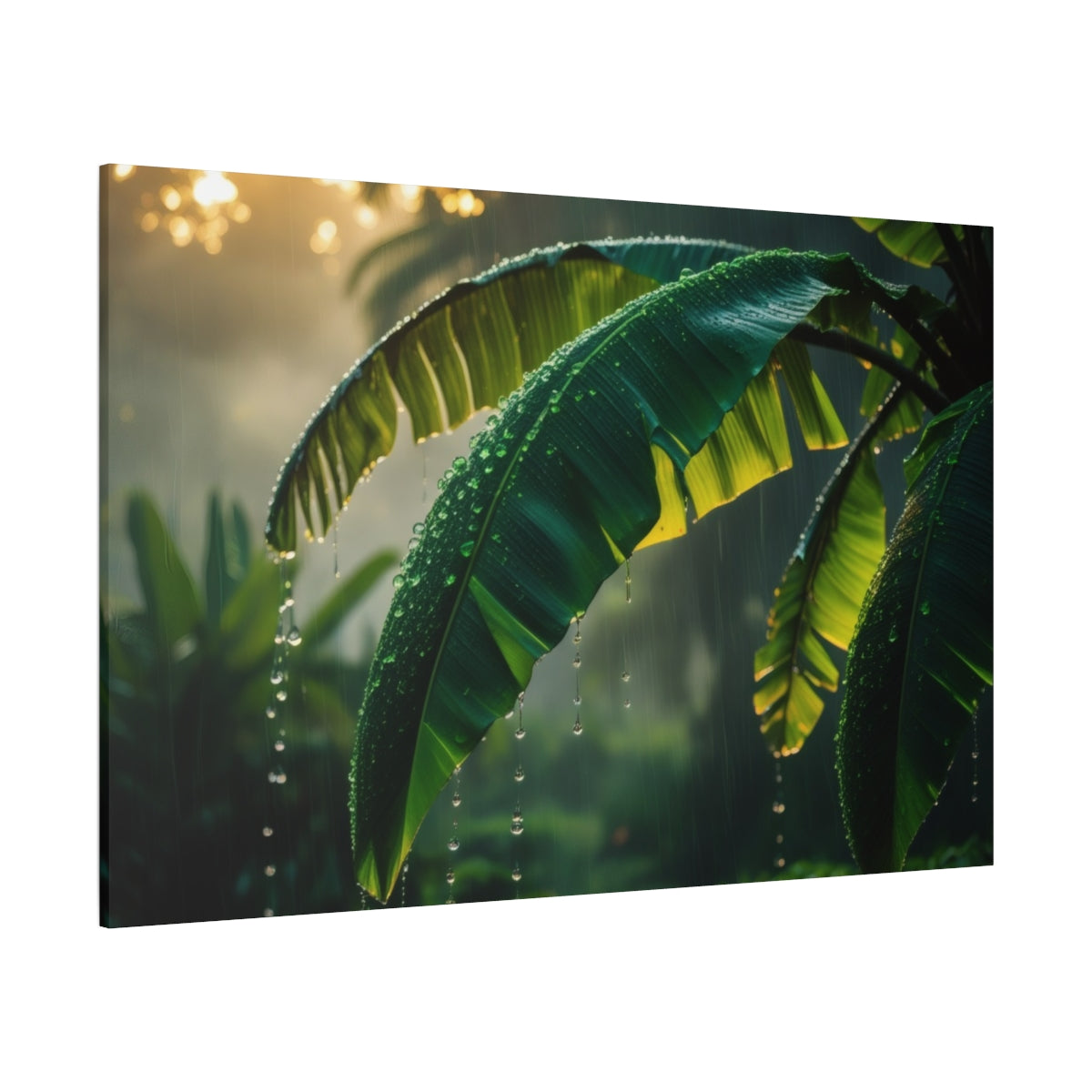 Raindrops on Banana Leaves at Dawn
