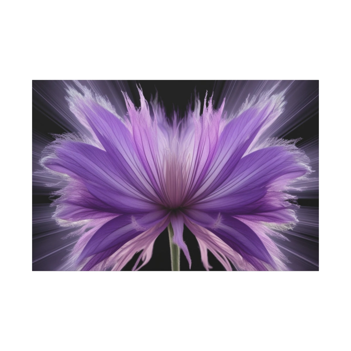 Radiant Blossom Exploding