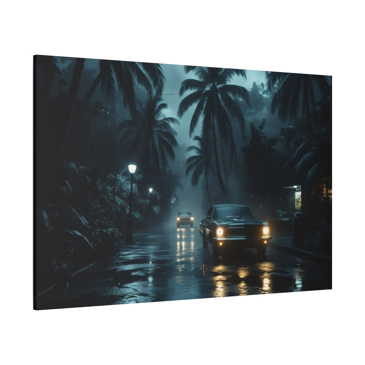 Tropical Midnight Drive