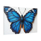 Vivid Blue Majesty