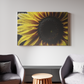Luminous Sunflower Glory