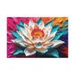 Eruption of Colors: Lotus in Full Bloom