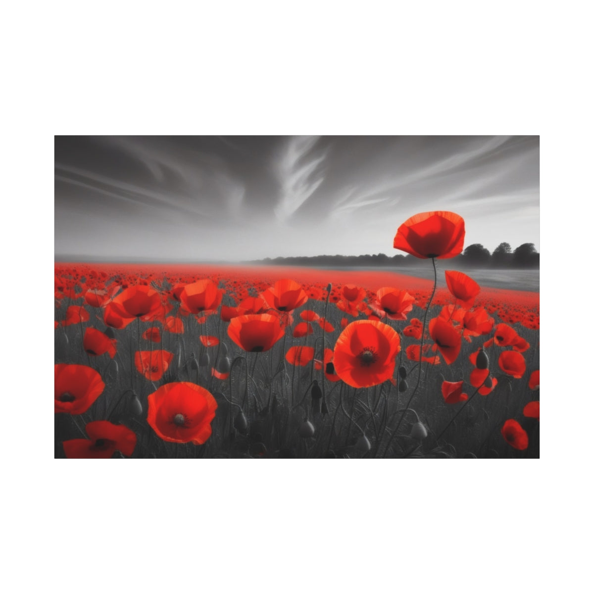 Poppies in Monochrome Dreamscape