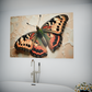 Vibrancy of the Painted Butterfly