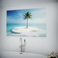 Solitary Serenity: Palm Oasis