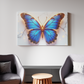 Glowing Azure Butterfly on Marble