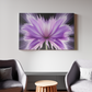 Radiant Blossom Exploding