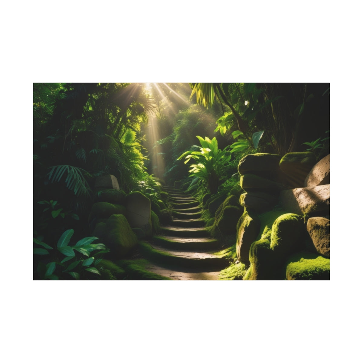 Enchanted Forest Pathway