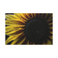 Sunflower in Dew