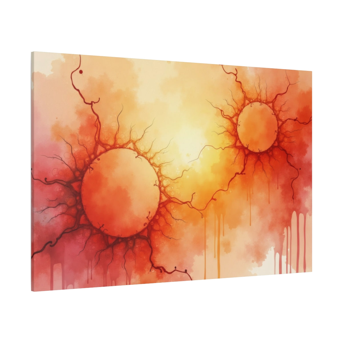 Solar Flares in Abstract
