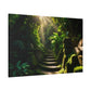 Enchanted Forest Pathway