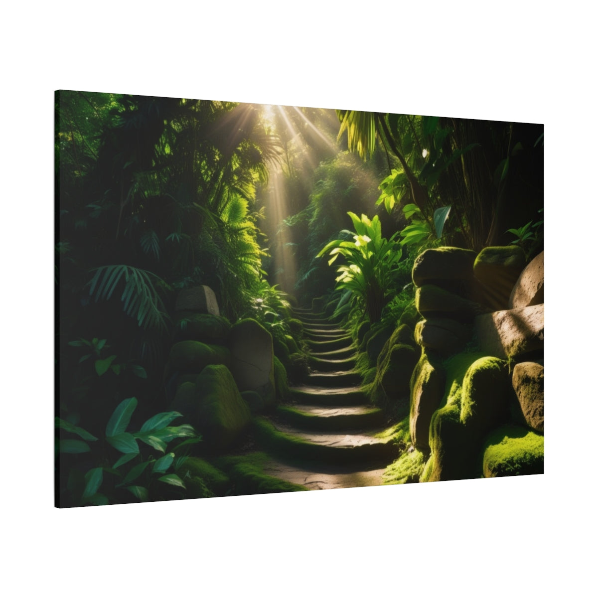 Enchanted Forest Pathway