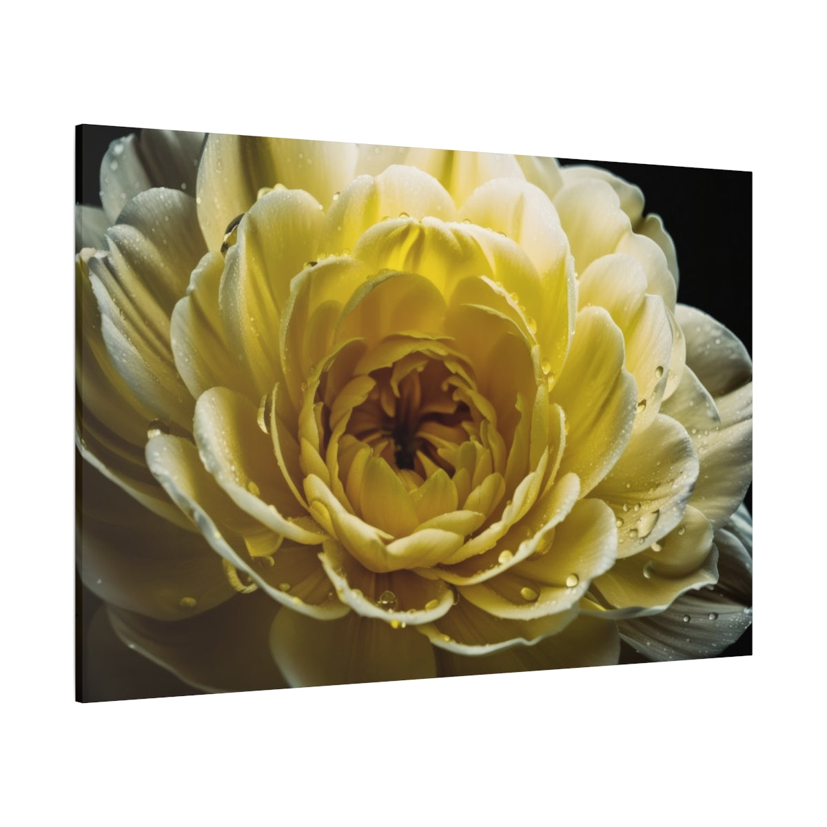 Radiant Bloom