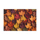 Autumn's Embrace
