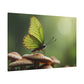 Butterfly Reverie on Forest Mushrooms