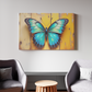 Vibrant Wings on Rustic Canvas