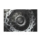 Eternal Spiral