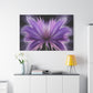 Radiant Blossom Exploding