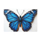 Vivid Blue Majesty