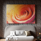 Petals in a Spiral Dance