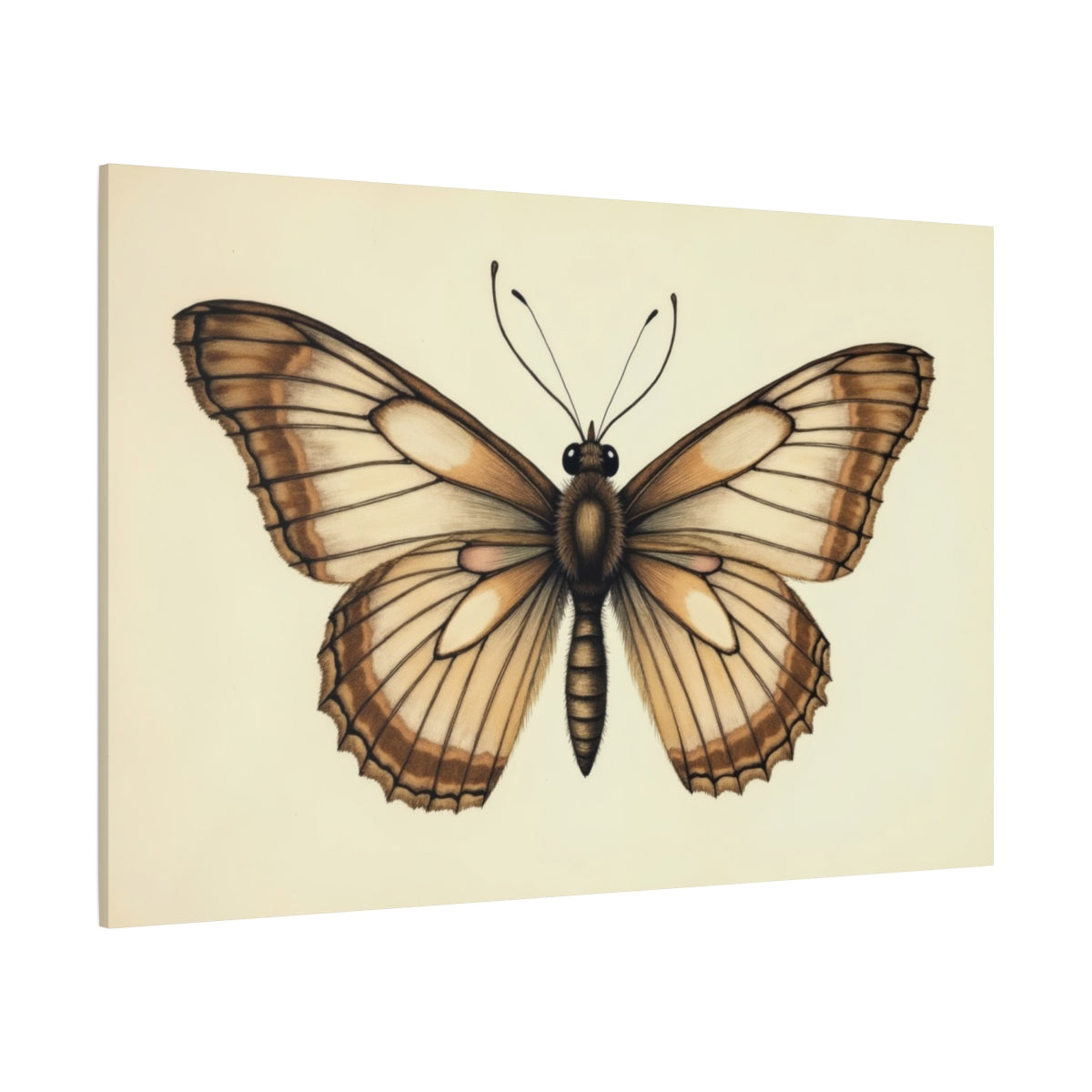 The Monarch's Grace