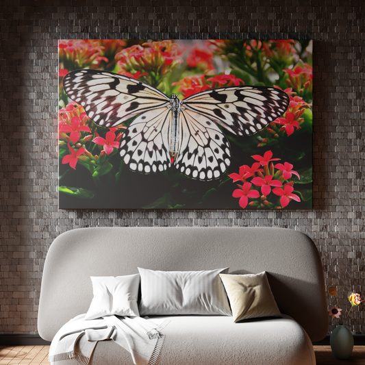 Butterfly Elegance on Scarlet Blooms